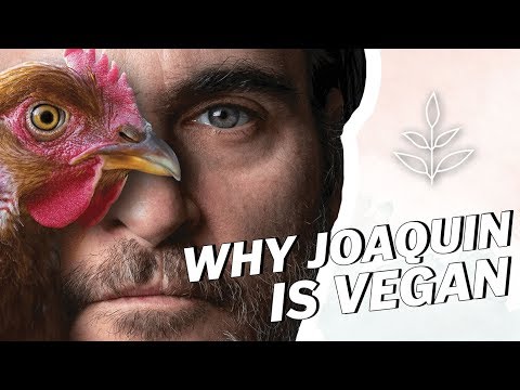 為什麼JOAQUIN PHOENIX是維基人? (Why JOAQUIN PHOENIX IS VEGAN | LIVEKINDLY)