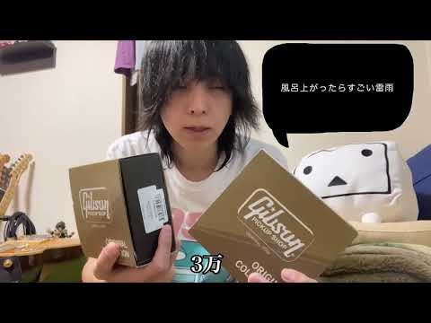 [Pickup Replacement] GIBSON 57 Classic VS 490R & 498T