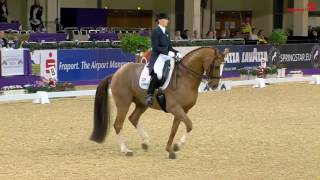 Dablino à la retraite