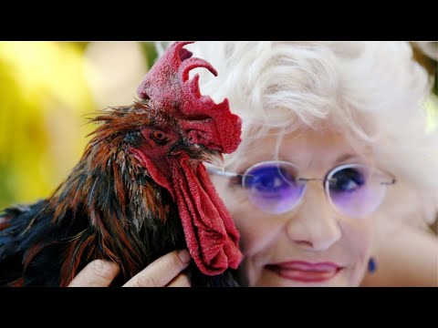 Gjeli fiton në gjykatë, mund të këndojë sa të dojë!