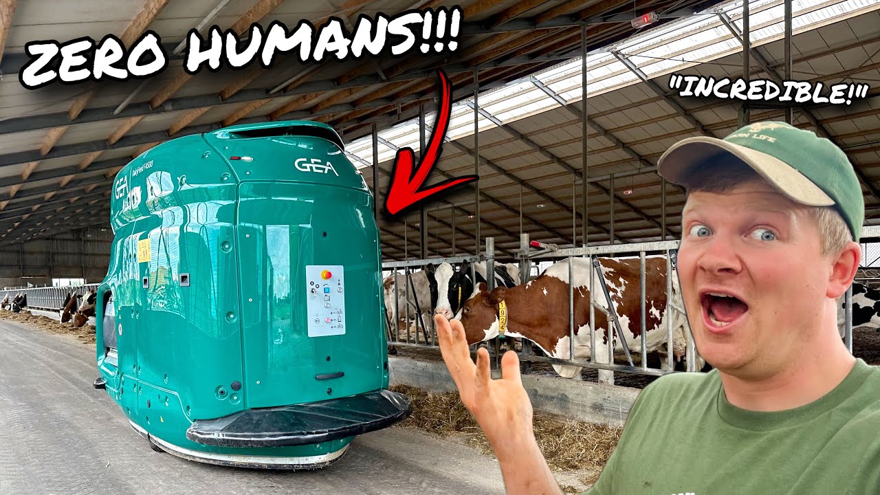 THE FUTURE IS HERE!!!... FEEDING 220 COWS WITH ZERO HUMAN'S!