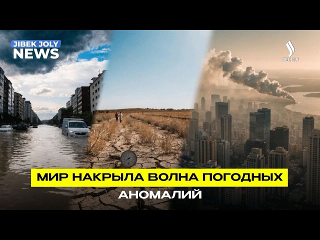 Климат под давлением: жара, засуха и штормы накрыли мир