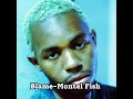 Blame-Montel Fish (SPED UP)