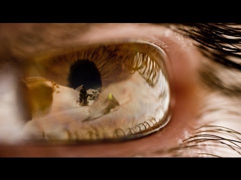 Life is Born (from All.I.Can)