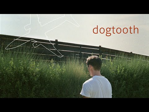 Dogtooth - Official Trailer thumnail