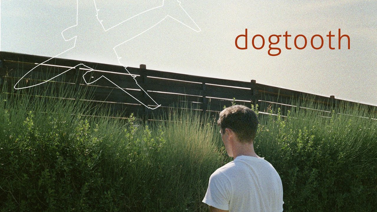 Dogtooth - Official Trailer - YouTube