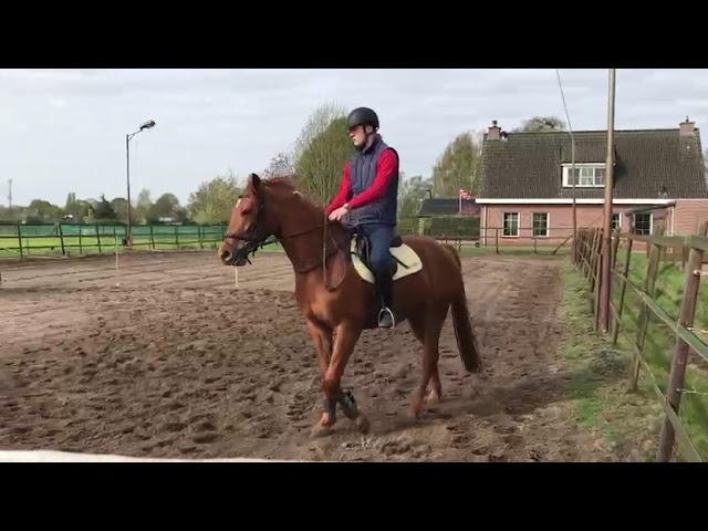 Just Saddle broken movie Coco de Chanel (Comme il Faut x Chacco Blue).
