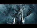 Recommendation The Ivory Game
