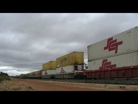 SCT012 and LDP002 6PM9b