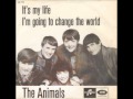 The Animals It's My Life 