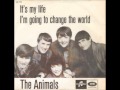 The Animals It's My Life 