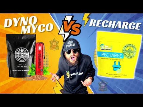 RECHARGE vs Dynomyco...the HARD TRUTH!! 😱