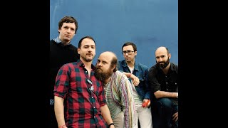 Les Savy Fav - Hold On to Your Genre