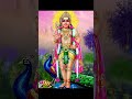 Lord Murugan Whatsapp Status Tamil Murugan God Tamil Devotionalsongs