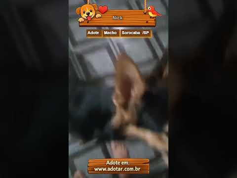 Vídeo de Nick 