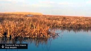 Календарь клева рыбы в астраханской обл
