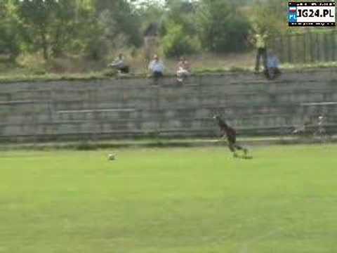 WULKAN WROCŁAW - KARKONOSZE JELENIA GÓRA 0:1