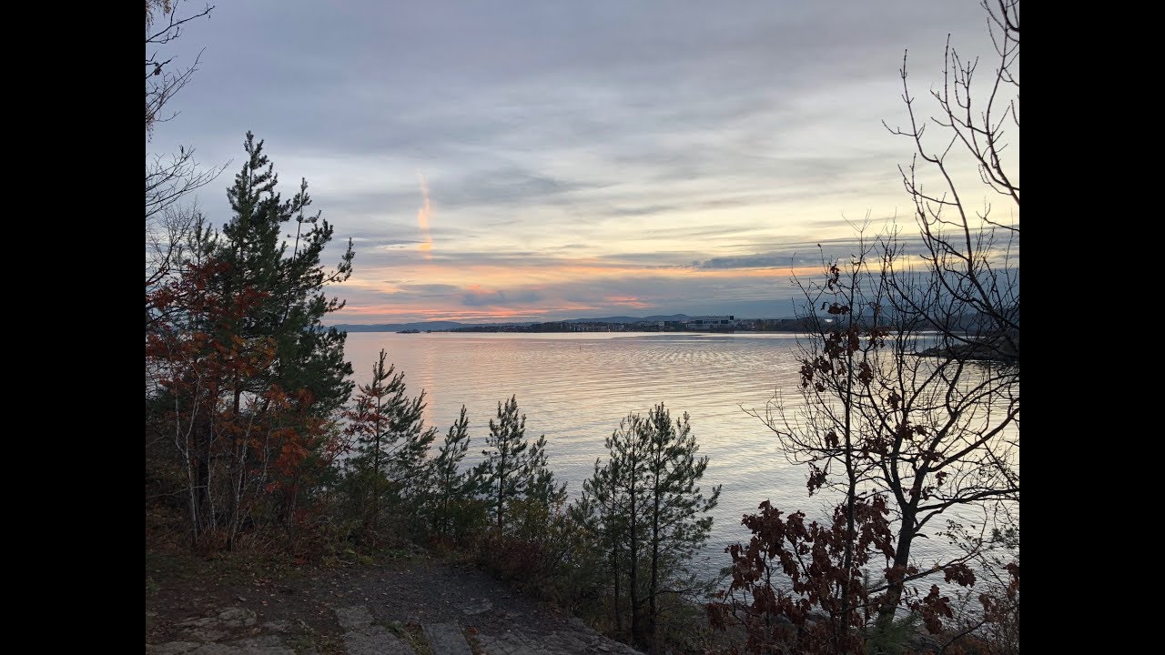 Embark on a walking tour around Torshovdalen.