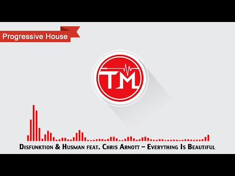Disfunktion & Husman feat. Chris Arnott - Everything Is Beautiful