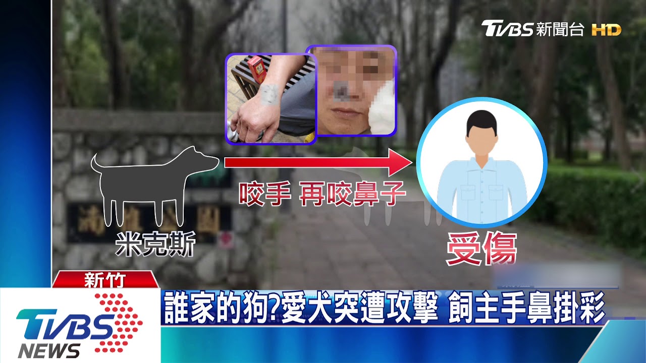 好痛!男公園遛狗遇襲 鼻遭咬傷滿臉血