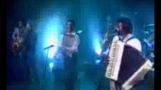 Buckwheat Zydeco - Creole Country