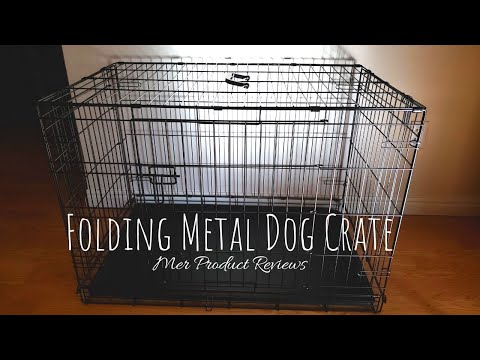 Amazon Basics Folding Metal Dog Crate Review and How to Keep a Clean Kennel