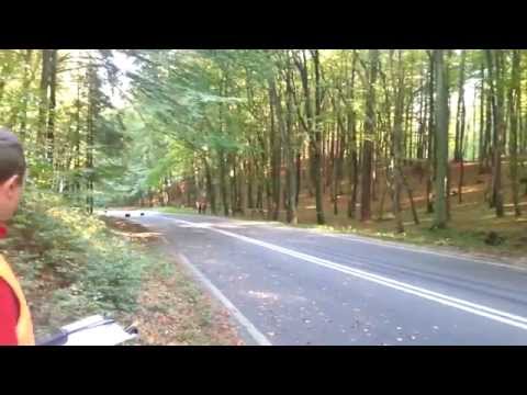 7 Rajd Żarnowiecki Gniewińska Górka!! 04.10.2014