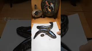 Download lagu 3D painting Incredible 3D pencil drawings 😱 mp3