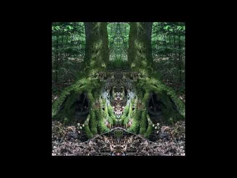 Die Kraft der Berührung