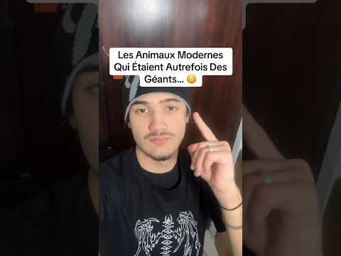 Les Animaux Modernes Qui Étaient Autrefois Des Géants... 😦 #shorts