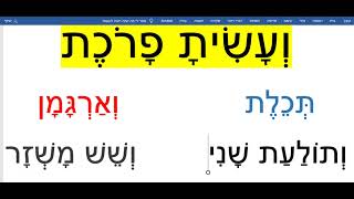 יומא דף עב   Join