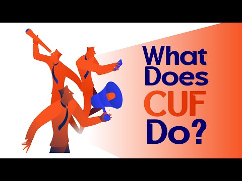 Video Image