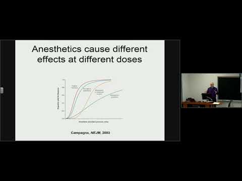 General Anesthesia and the New Science of Consciousness