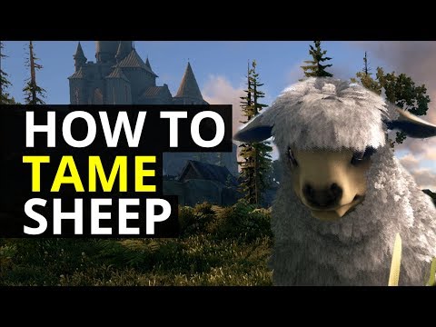 Dark and Light - How To Tame Sheep (DNL Guide)
