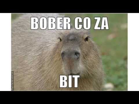 JVCORE - Wujek Dobra Rada