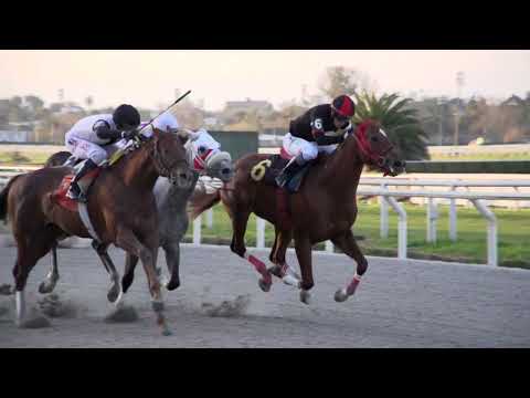 230812 c04 INTER WATCH