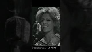 La Gatta Lyrics English Translation