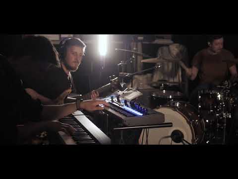 Wojtek Mazolewski feat. Justyna Święs - Organizmy Piękne / cover