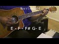 Nick Lowe - When I write the Book - Guitar Chords Lesson