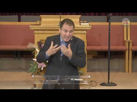 2019-11-09 "Carstvo mira i radosti" - Zoran Sudarević