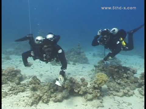 (5thD-X) Essentials Of Technical Diving - (Line) Line Laying: Team