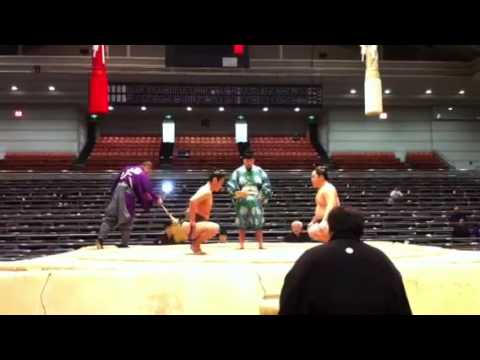 未来の関取 澤谷先生譲り片足タックル