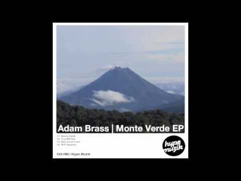 Adam Brass - Bad Economist (Government Is The Problem Mix) [Hype Muzik]
