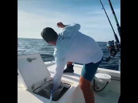 Epic Islamorada Fishing Frenzy!   Lobster, Mahi Tuna, Grouper Catch and Clean Cook | #shorts