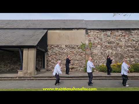 Yang Style 21 Movement Taijiquan  Basic Form.