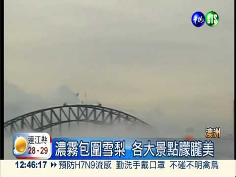 霧鎖雪梨美極了! 遊客賞景忘誤點