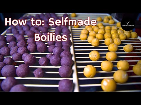 DIY Boilies: EASY Selfmade Carp Bait Tutorial (ASMR) | nature.hooked