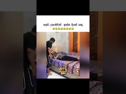 වල් මිනිහා😒😂😂 #youtubeshorts #funny #odishalabakuasajanma #maduwabro #comedy #love #lka #memes #funn