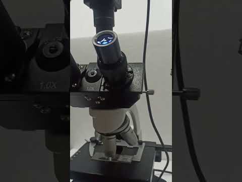 Phase contrast trinocular microscope