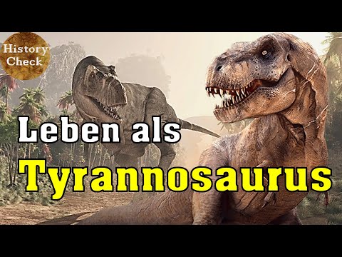 What was life like for a Tyrannosaurus Rex during the Late Cretaceous period?